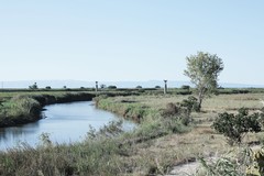 Il parco naturale del fiume Ofanto raccontato in un documentario
