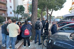 Abbattimento alberi, si parte lunedì: sopralluogo della Commissione Ambiente