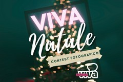 "Viva il Natale", al via il contest fotografico di BarlettaViva