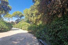 Villa Bonelli, sopralluogo della Commissione Lavori Pubblici di Barletta