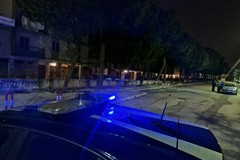 Barletta, albero pericolante isolato in via Pirandello