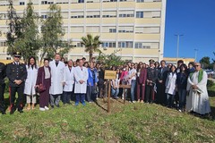 Presentato al Dimiccoli di Barletta il progetto "Un albero per la salute"
