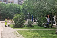 Barletta, cominciata la manutenzione in piazza Federico II di Svevia