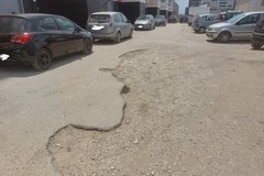 Degrado in via delle Querce, la denuncia di Coalizione Civica