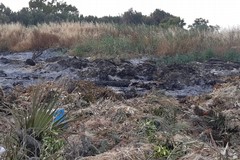 Rifiuti bruciati in zona Fiumara, minacciato l'ambientalista barlettano Binetti