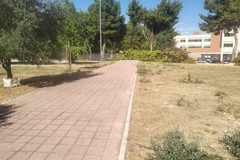 Comitato di quartiere zona 167: «Il “periplo” degli studenti: una soluzione semplice che attende una risposta»