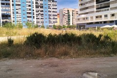 «Meno like, più manutenzioni: la Zona 167 soffoca tra degrado e pericoli»