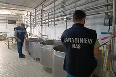 I Nas sequestrano due caseifici abusivi della Bat contaminati da Listeria