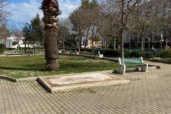 Giardini Baden Powell di Barletta, Legambiente pianta 15 alberi
