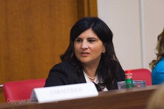 Commissione senza segretario, interviene Rosa Cascella