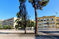 A fuoco due alberi in Largo Ariosto, danni contenuti