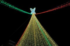 Il momento più magico dell’anno: si accende l’albero di Natale in Piazza Aldo Moro