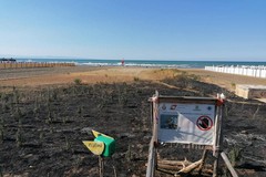 Incendio nell'area protetta del fratino sulla costa di Barletta