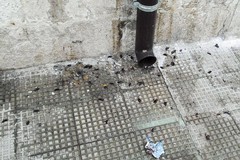Blatte in città, il prossimo ciclo di sanificazione a luglio