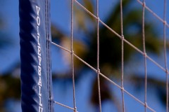 Molestava le sue giovani atlete, anche minorenni: custodia cautelare in carcere per un barlettano