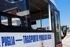 Bus notturni per litoranee, danneggiato un vetro. La denuncia del sindaco Cannito