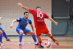 L'amara sconfitta della Grimal Futsal Barletta a Potenza