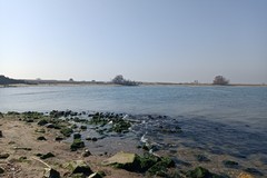 Fiume Ofanto: al via da Barletta il Progetto GREW per l’aggiornamento del Contratto di Area Umida