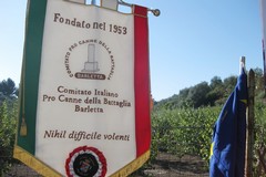 70 anni dalla fondazione del Comitato Italiano Pro Canne