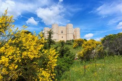 Mobilità più smart nella Puglia Imperiale per migliorare l'accoglienza turistica