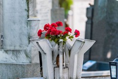 Cimitero di Barletta, aperture straordinarie con orario continuato: le date