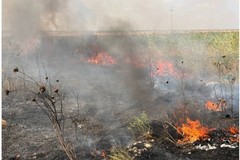 Crisi climatica a Barletta, Dicataldo: «Con una politica lungimirante sarà possibile cambiare rotta»