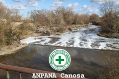 Disastro ambientale nel fiume Ofanto a Canosa: cosa sta succedendo