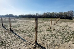 Progetto "Dune costiere": l’impegno di Legambiente Barletta per la rivitalizzazione del lungomare Mennea