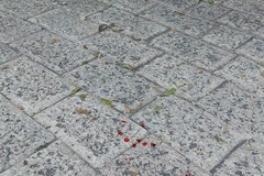 Rissa tra barlettani in piazza Plebiscito, la nota dell'Ambulatorio Popolare