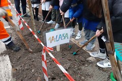 Festa dell'albero al rione "Medaglie d'Oro"