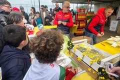 Tutti pazzi per le figurine dei calciatori: a Barletta una passione che attraversa le generazioni