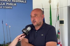 Vallone Tittadegna, Caracciolo: «La bonifica non spetta alla Regione, il Sindaco studi i regolamenti e ripulisca l'area»