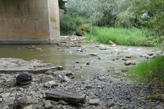 Prelievi d'acqua indiscriminati, in pericolo le acque del fiume Ofanto