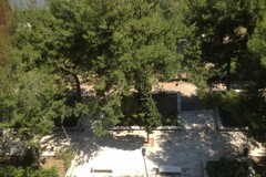 Un bando che vale ossigeno: Barletta non può permettersi l’ennesima occasione mancata