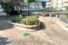 Green Park, avviati i lavori di pulizia e disinfestazione