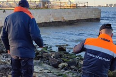 Ritrovato il relitto di un'imbarcazione sul litorale di Levante
