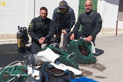 Oltre due tonnellate di prodotto ittico sequestrate