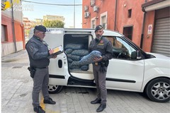 Guardia di Finanza BAT, a Margherita il sequestro di molluschi senza tracciabilità