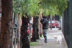 Allerta furti in via Chieffi, il comitato Medaglie d'Oro: «Serve l'esercito, non si può andare avanti così»