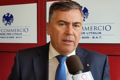 Confcommercio Bari-Bat, è Vito D’Ingeo il nuovo presidente: «Gioco di squadra la carta vincente»