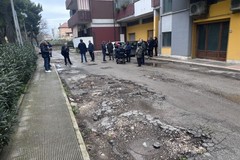 Borgovilla, allarme in via Giuliani: «Radici degli alberi minacciano palazzi e sicurezza»
