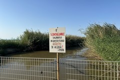 «È sconsigliabile bagnarsi in questo flusso d'acqua», il cartello di OAP a ridosso del canale H