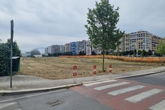 Erbacce nella zona 167, il comitato: «Interventi in corso, ma serve una manutenzione programmata»