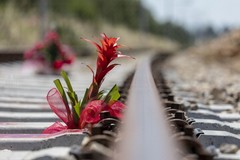 Strage ferroviaria, il grido di giustizia: «Sia fatta luce sulla tragedia»