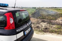 Incendio domato a Salinelle, il sindaco invita i proprietari a ripulire i terreni dalle sterpaglie