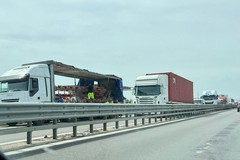Incidente tra due mezzi pesanti sulla SS16bis a Barletta