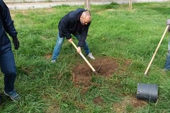 Legambiente Barletta celebra la Festa dell'Albero nei giardini Baden Powell