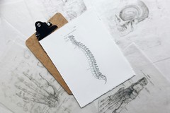 Salute e medicina, a Barletta si parla di osteoporosi
