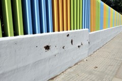 Muri della scuola imbrattati con le deiezioni canine