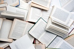 "Scelti per voi" la guida online della biblioteca Loffredo